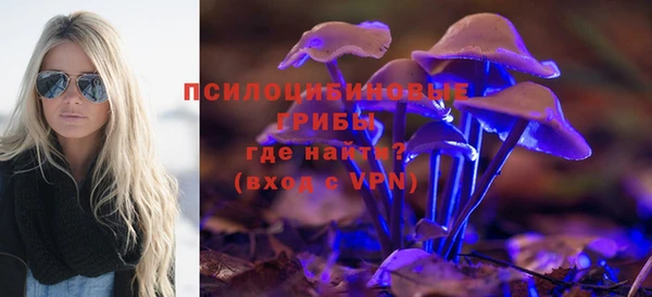 ALPHA PVP Баксан