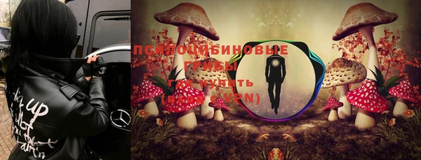 хмурый Балабаново