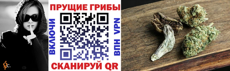 цены   Гатчина  Псилоцибиновые грибы ЛСД 